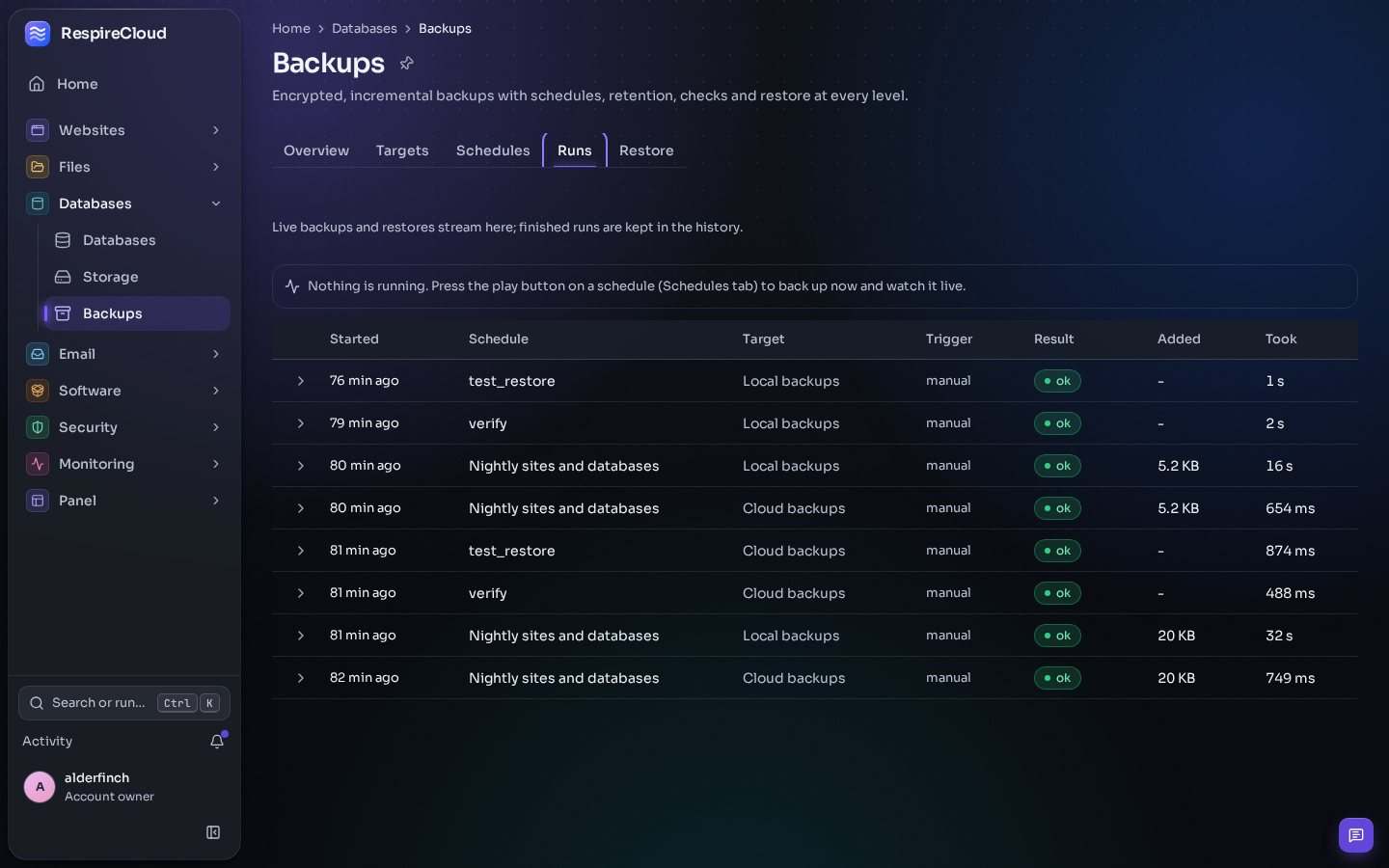 Backup runs with their target, result, size and time.