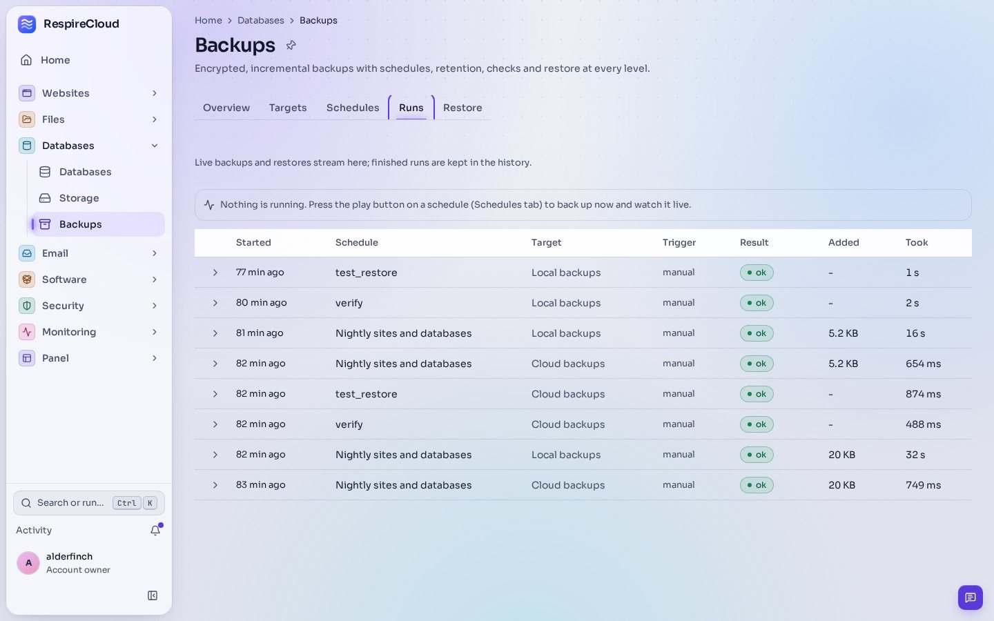 Backup runs with their target, result, size and time.
